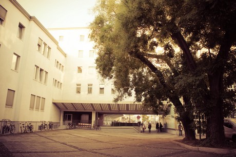 ehrenfeld