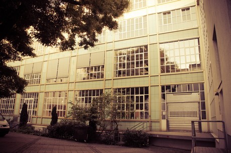 ehrenfeld