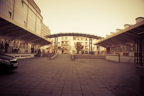 ehrenfeld