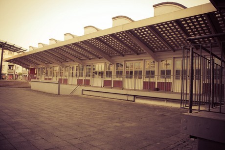 ehrenfeld