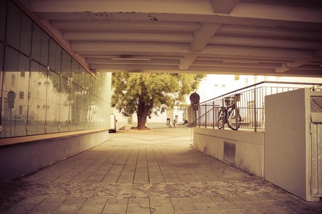 ehrenfeld
