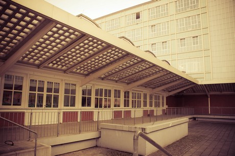 ehrenfeld
