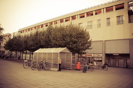 ehrenfeld