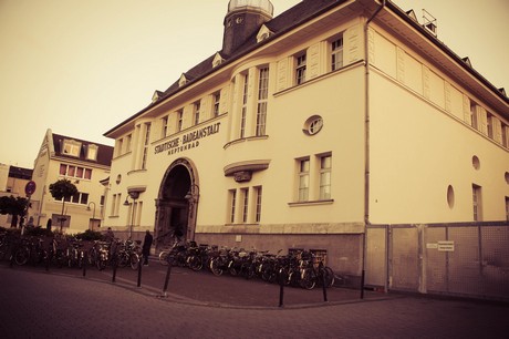 ehrenfeld
