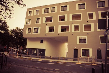 ehrenfeld
