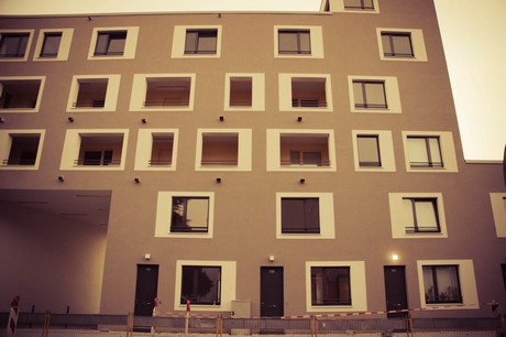 ehrenfeld