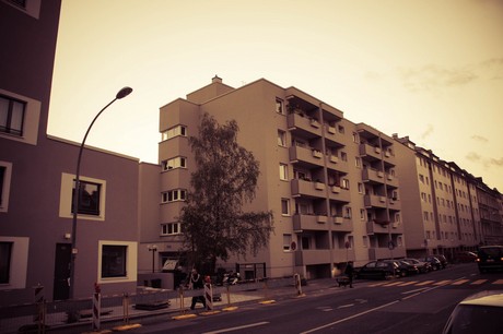 ehrenfeld