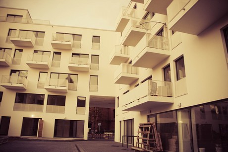ehrenfeld