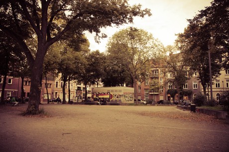 ehrenfeld