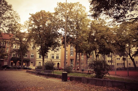 ehrenfeld