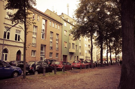 ehrenfeld