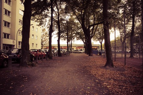 ehrenfeld