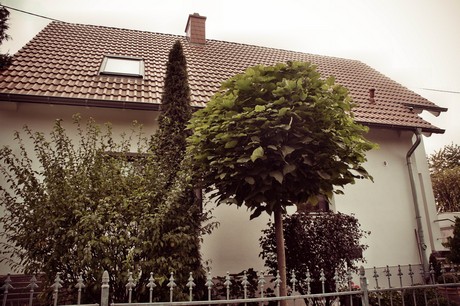 esch