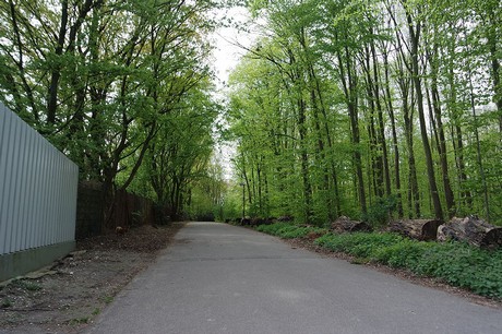 fuehlingen