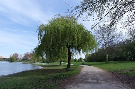 fuehlingen