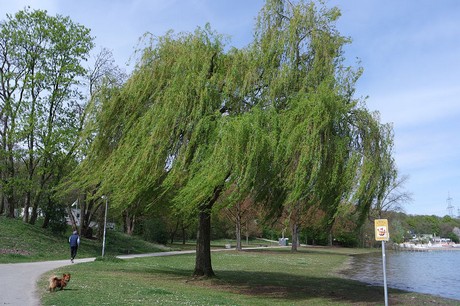 fuehlingen