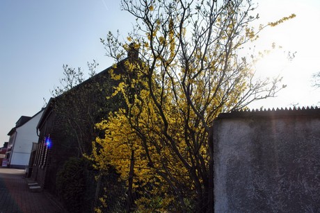 fuehlingen