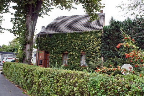 fuehlingen