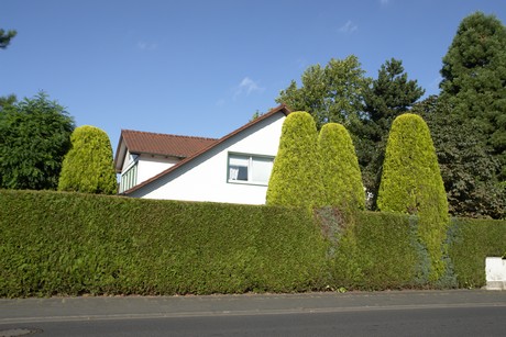 hahnwald