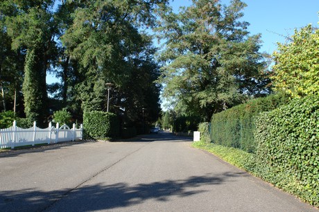 hahnwald