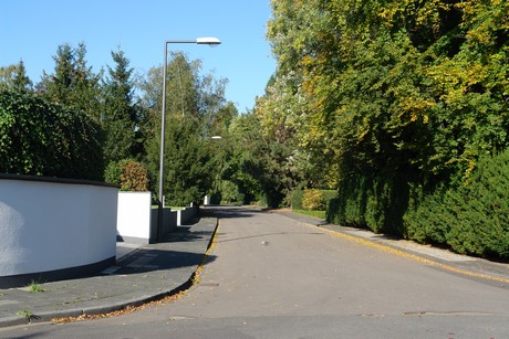 hahnwald