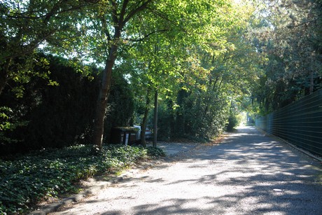 hahnwald