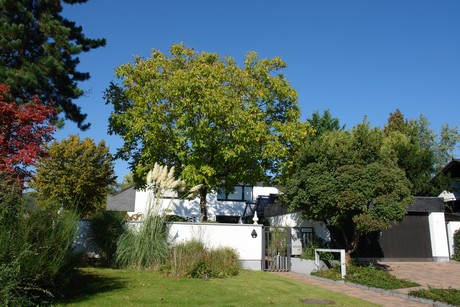 hahnwald