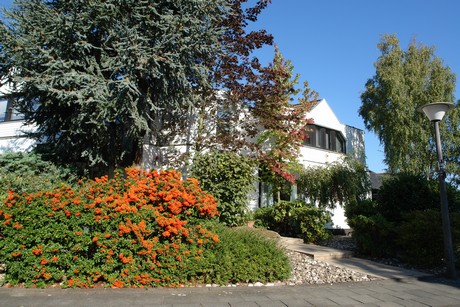 hahnwald