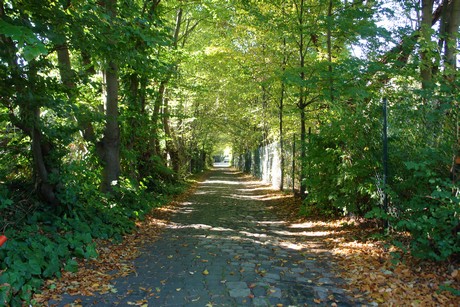 hahnwald