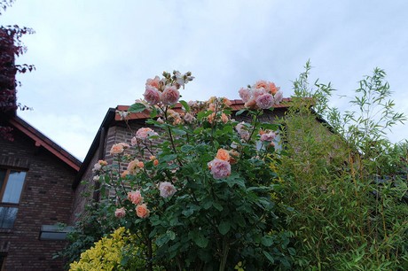 Heimersdorf