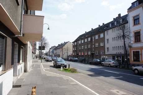 hoehenberg