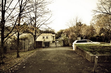hoehenberg