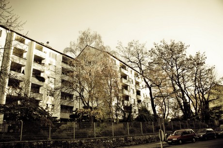 hoehenberg