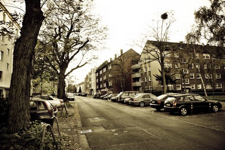 hoehenberg