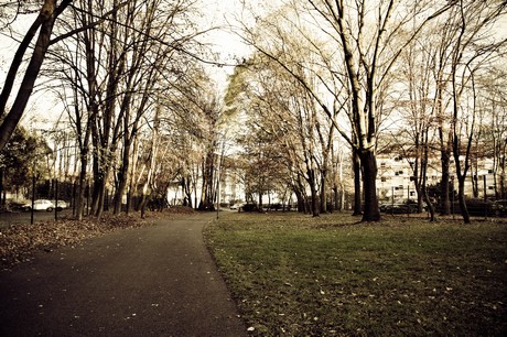 hoehenberg