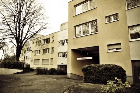 hoehenberg