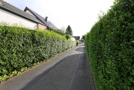 hoehenhaus