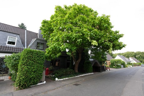 hoehenhaus