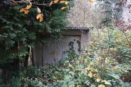 hoehenhaus