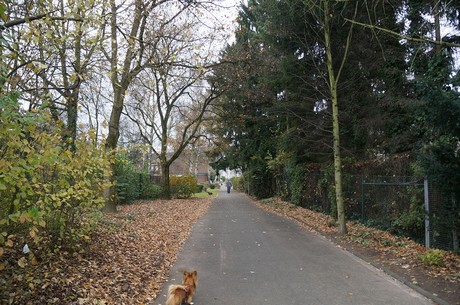 hoehenhaus