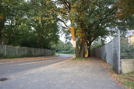 hoehenhaus
