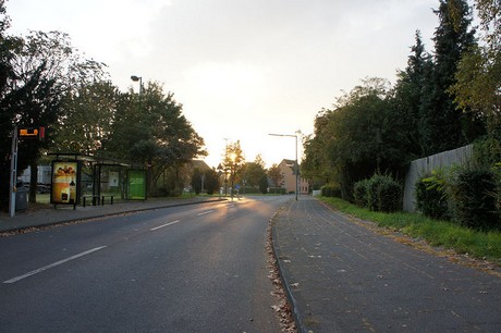 hoehenhaus