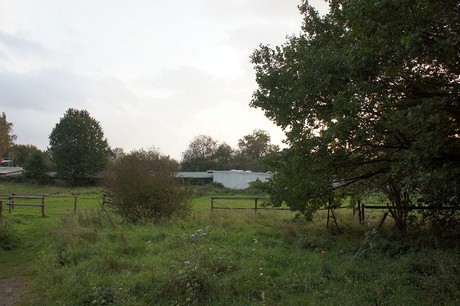 hoehenhaus