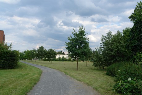holweide