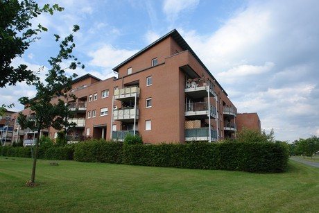 holweide
