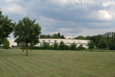 holweide