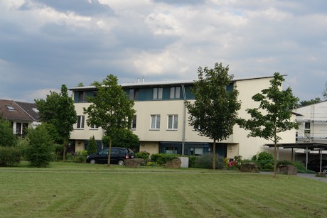 holweide
