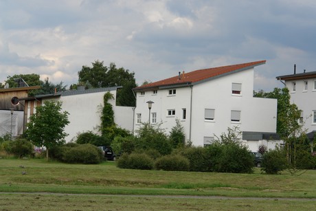 holweide