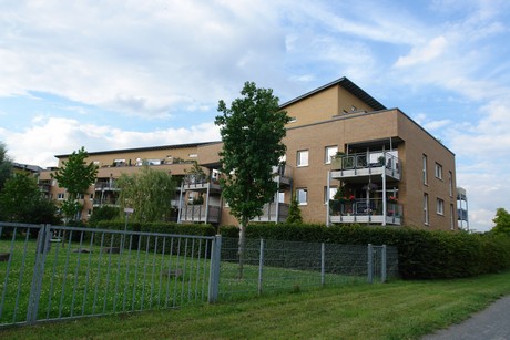 holweide