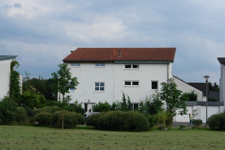 holweide